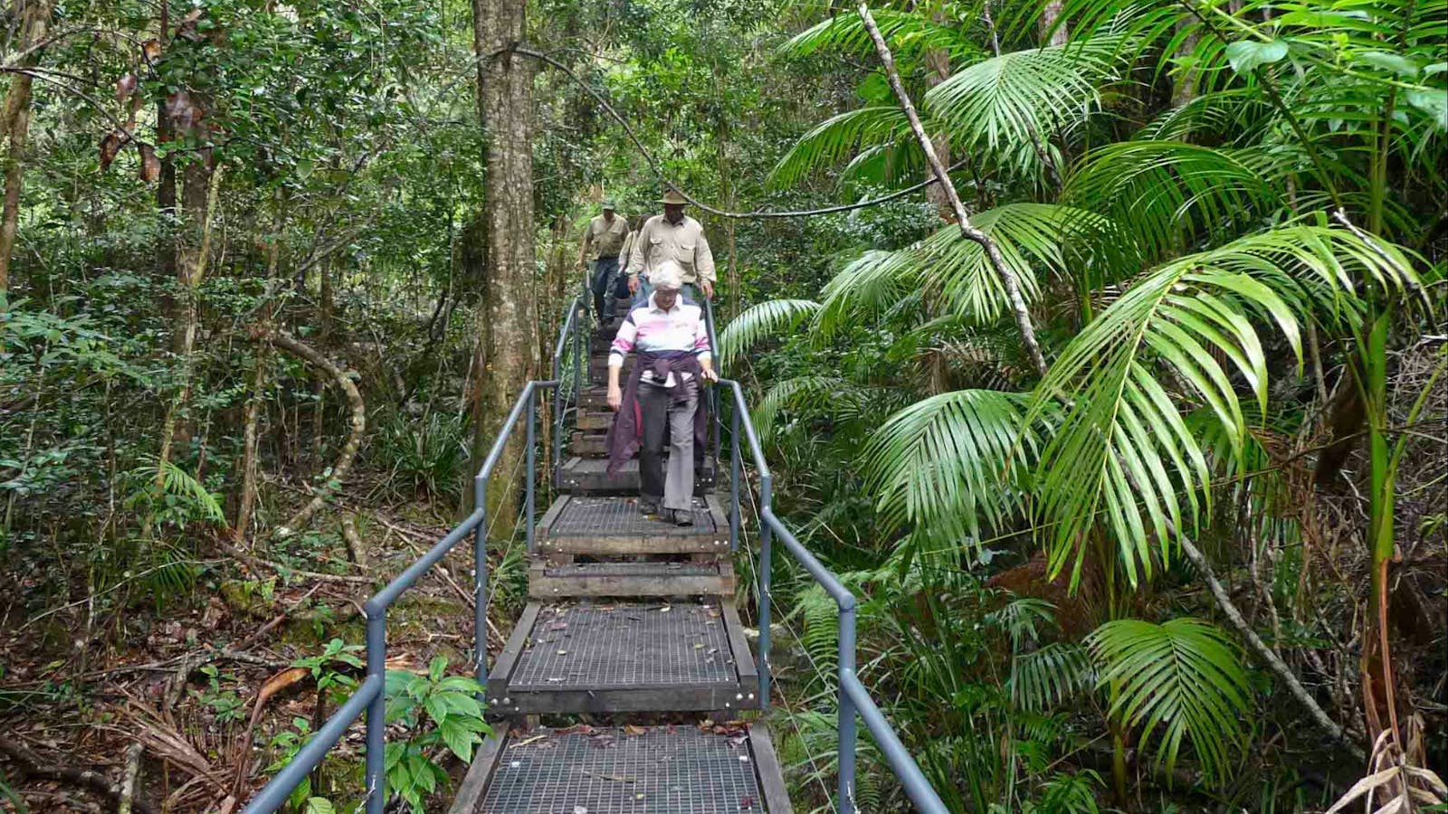 Falls walking track