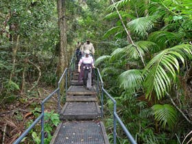 Falls walking track