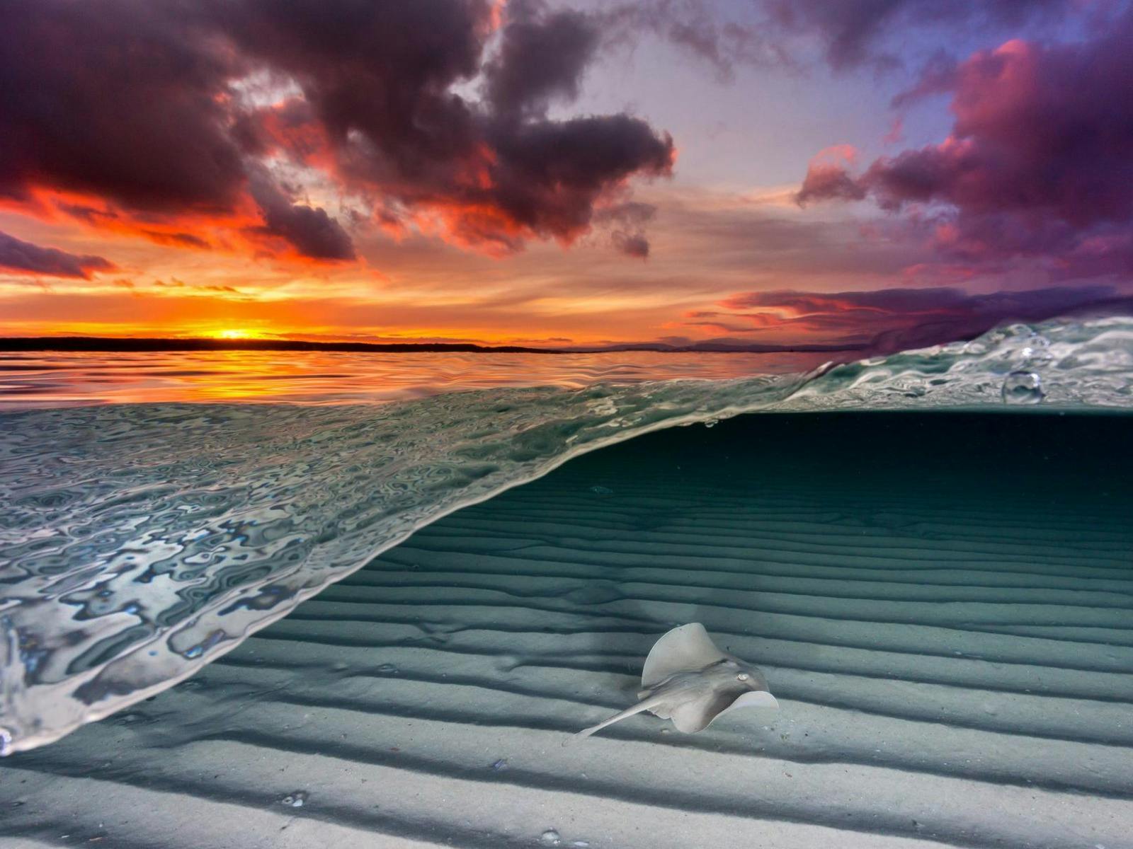 Scottish Rocks Beach