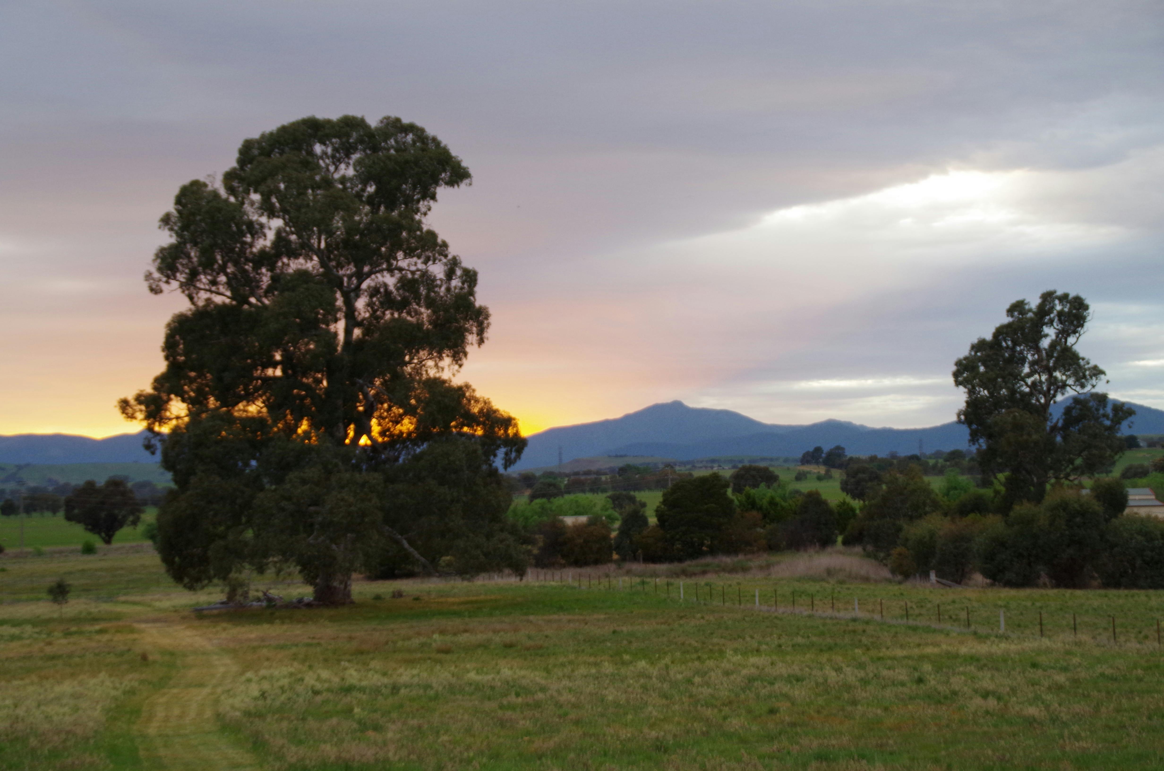 Wendy Jagger Studio View