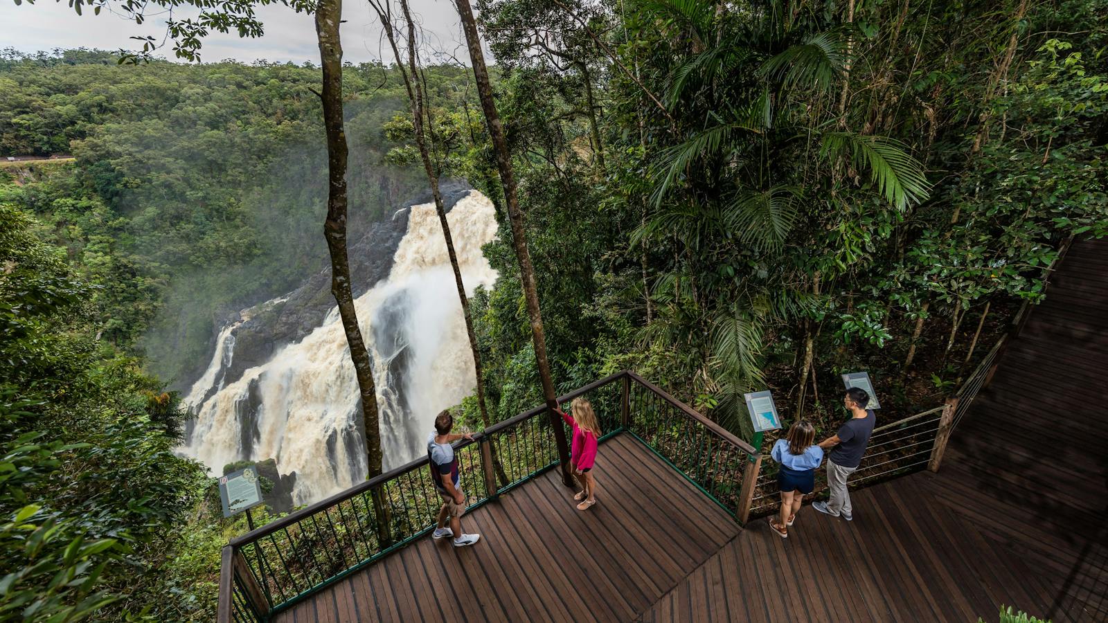 Barron Falls Skyrail Rainforest Cableway