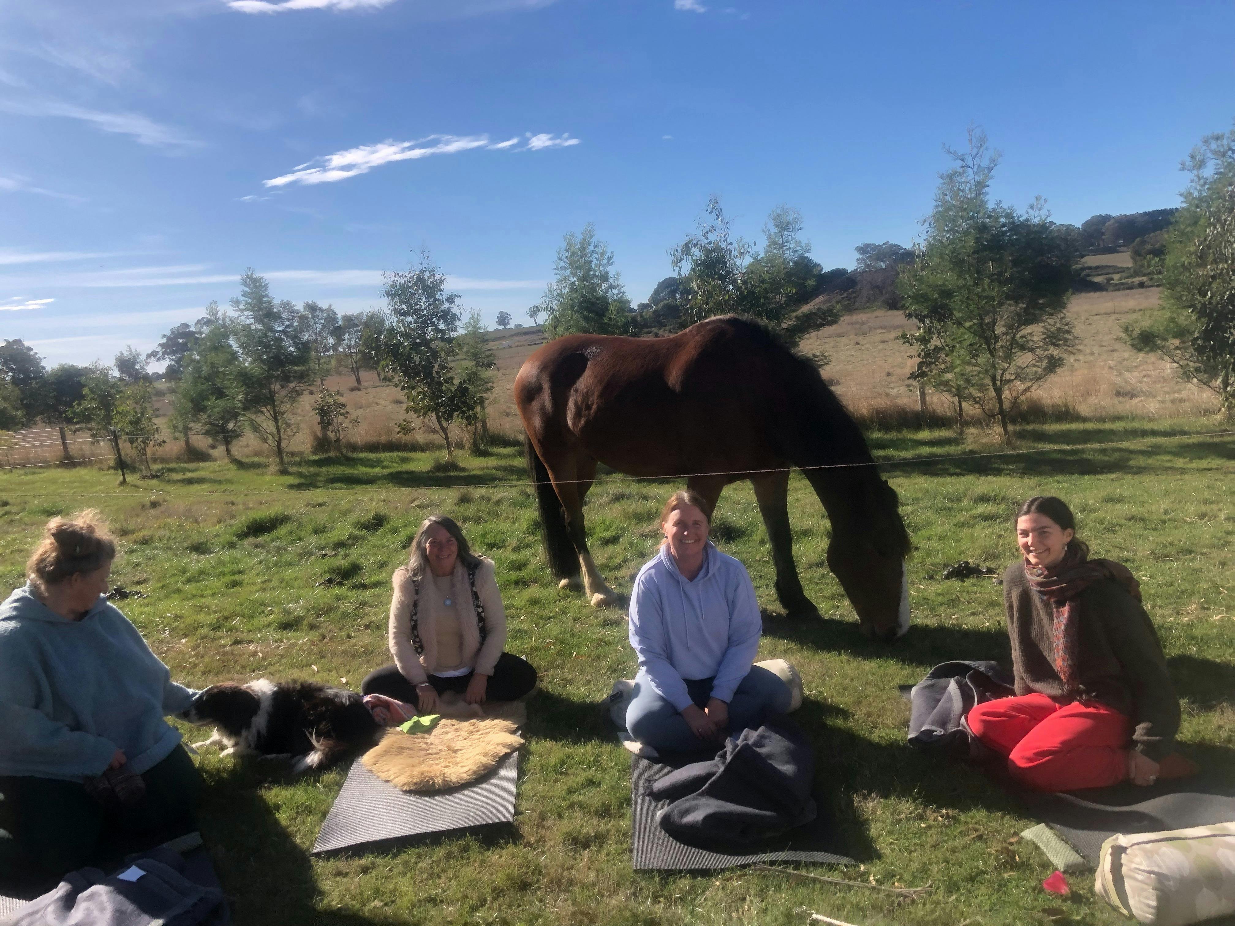Five Day Healing with Horses and Wellness Retreat