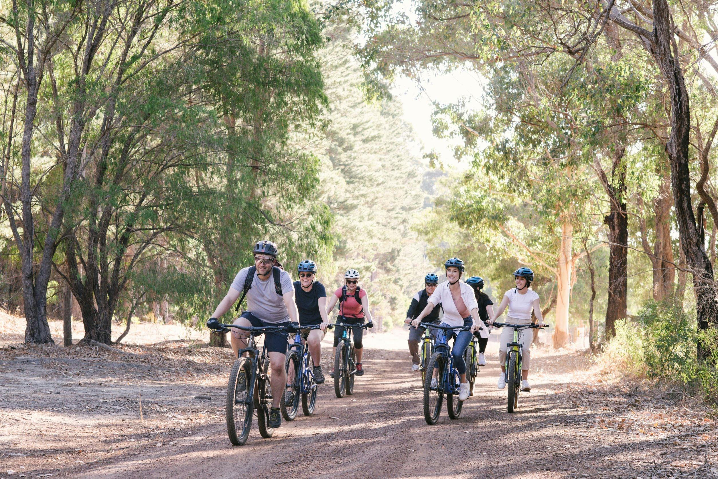 Half-day mountain bike ride through Karri Forest