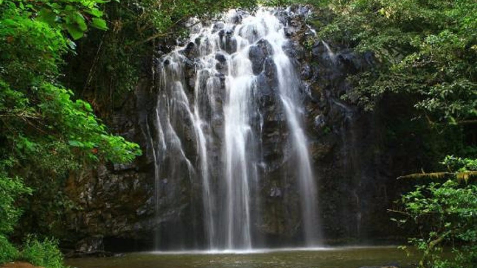 Ellinjaa Falls