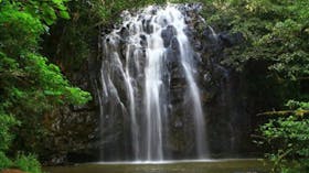 Ellinjaa Falls