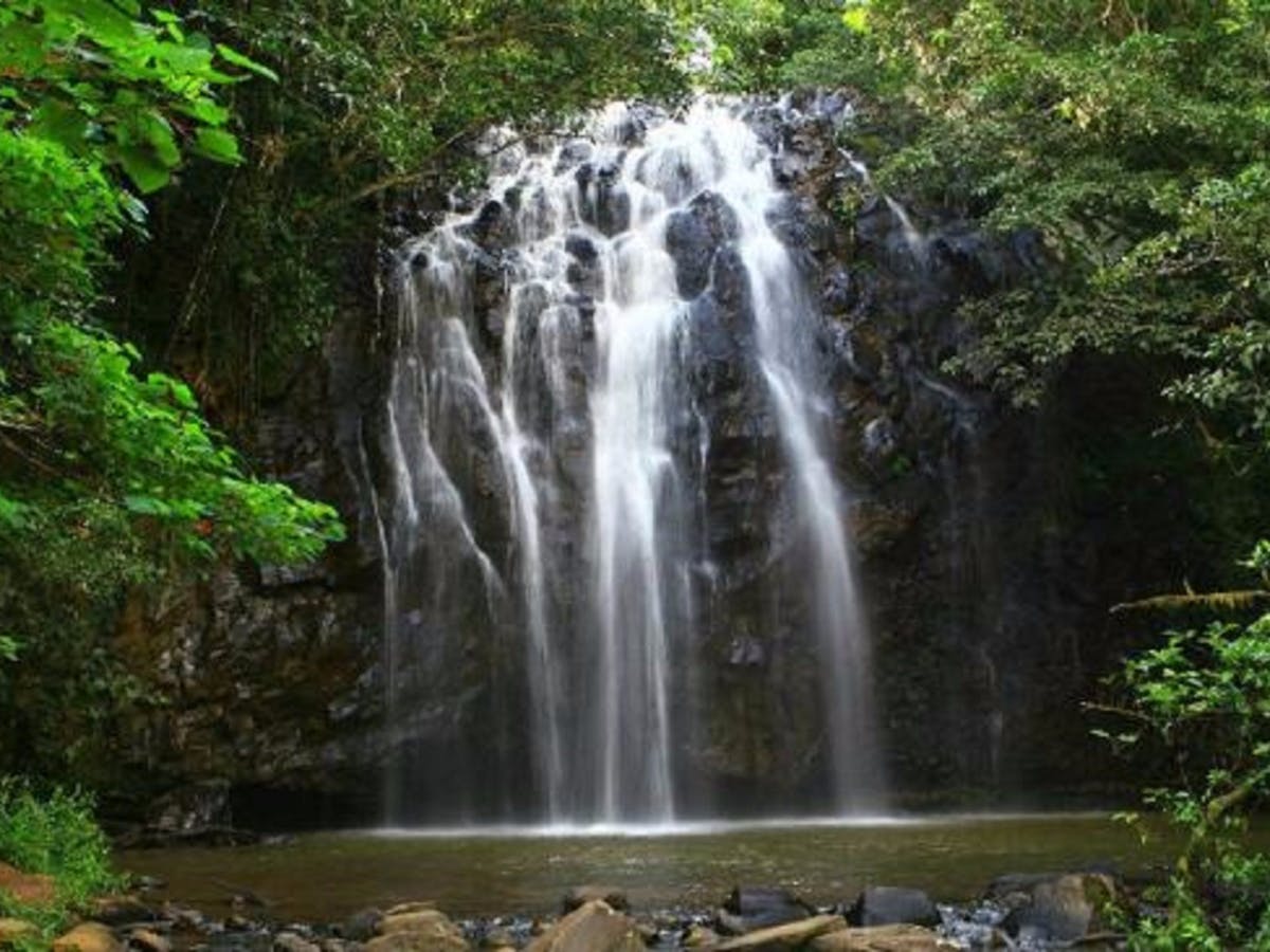 Ellinjaa Falls, Atherton Tablelands Ellinjaa Falls, Atherton Tablelands