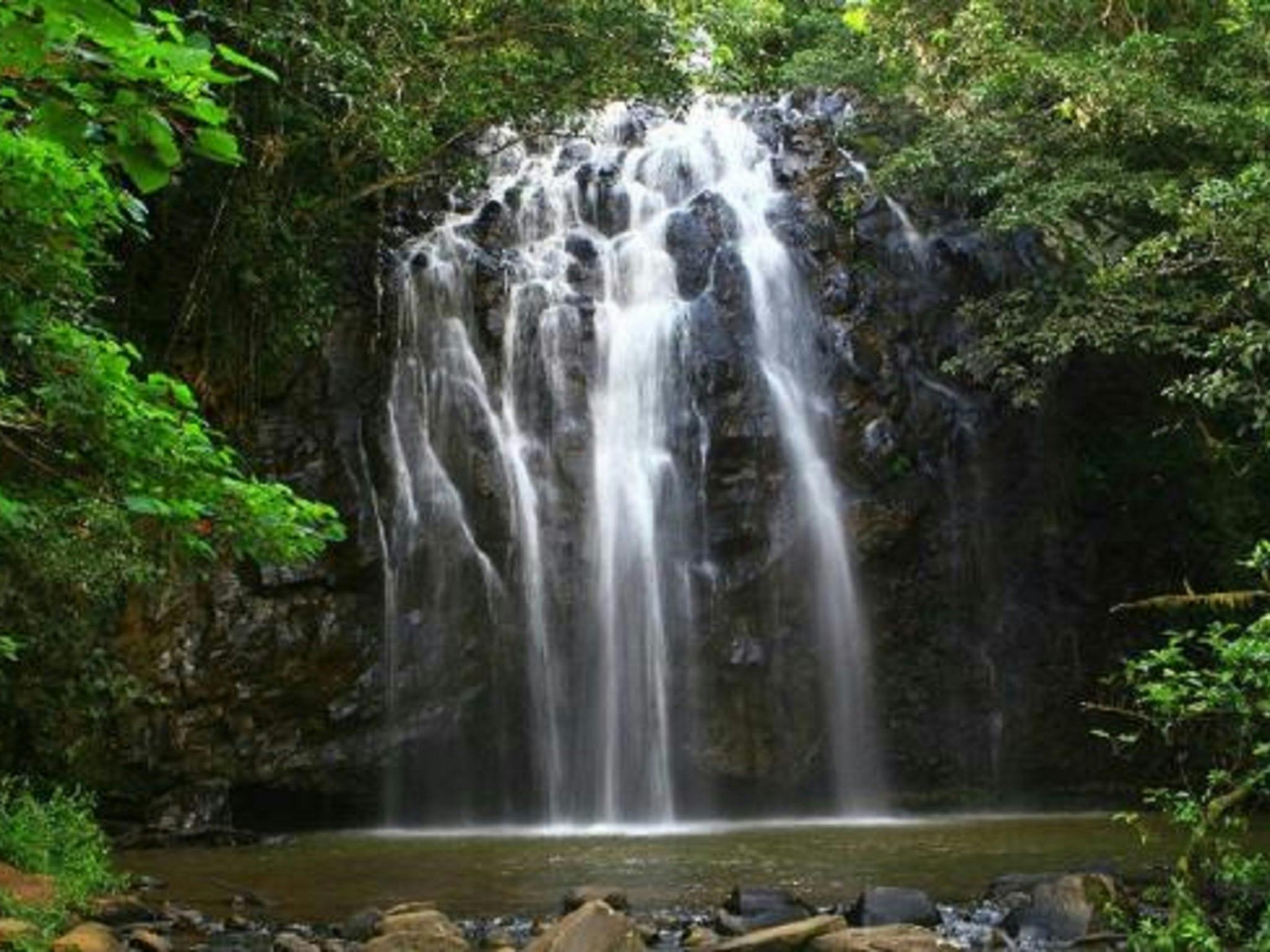 Ellinjaa Falls, Atherton Tablelands Ellinjaa Falls, Atherton Tablelands