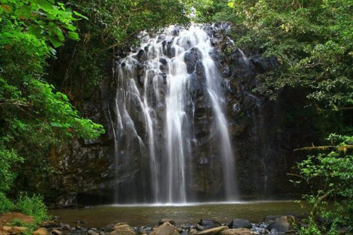 Ellinjaa Falls, Atherton Tablelands