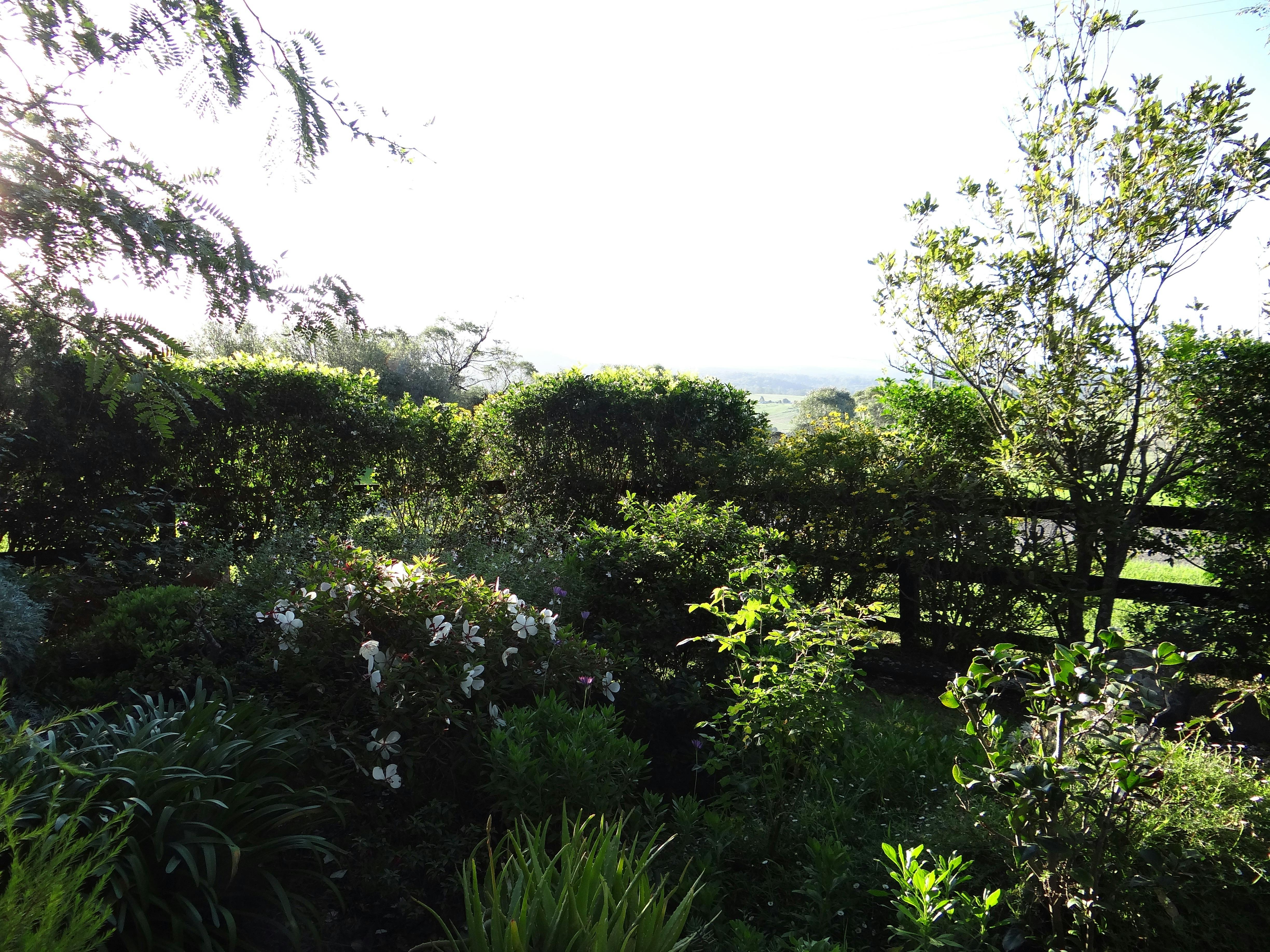 Stony Hill Treetops Shoalhaven South Coast NSW