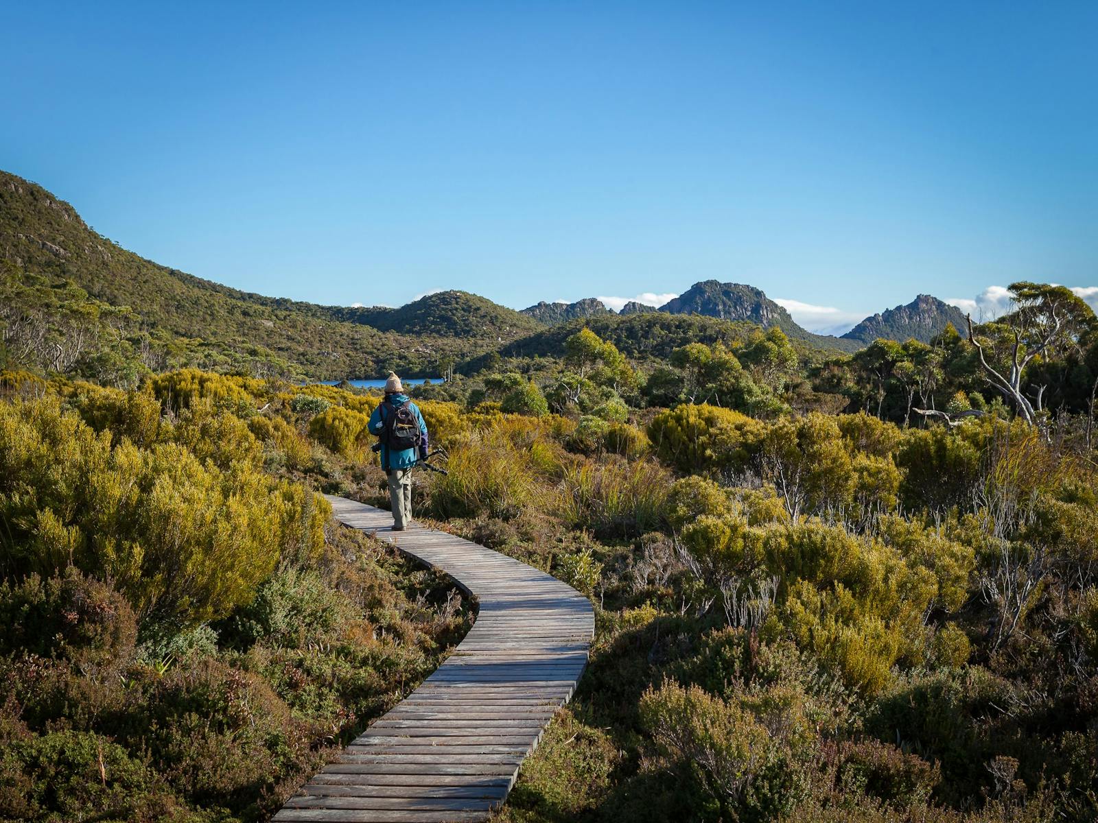 A guest walking on wooden path through the Alpine moorland with rugged mountain tops in the distance