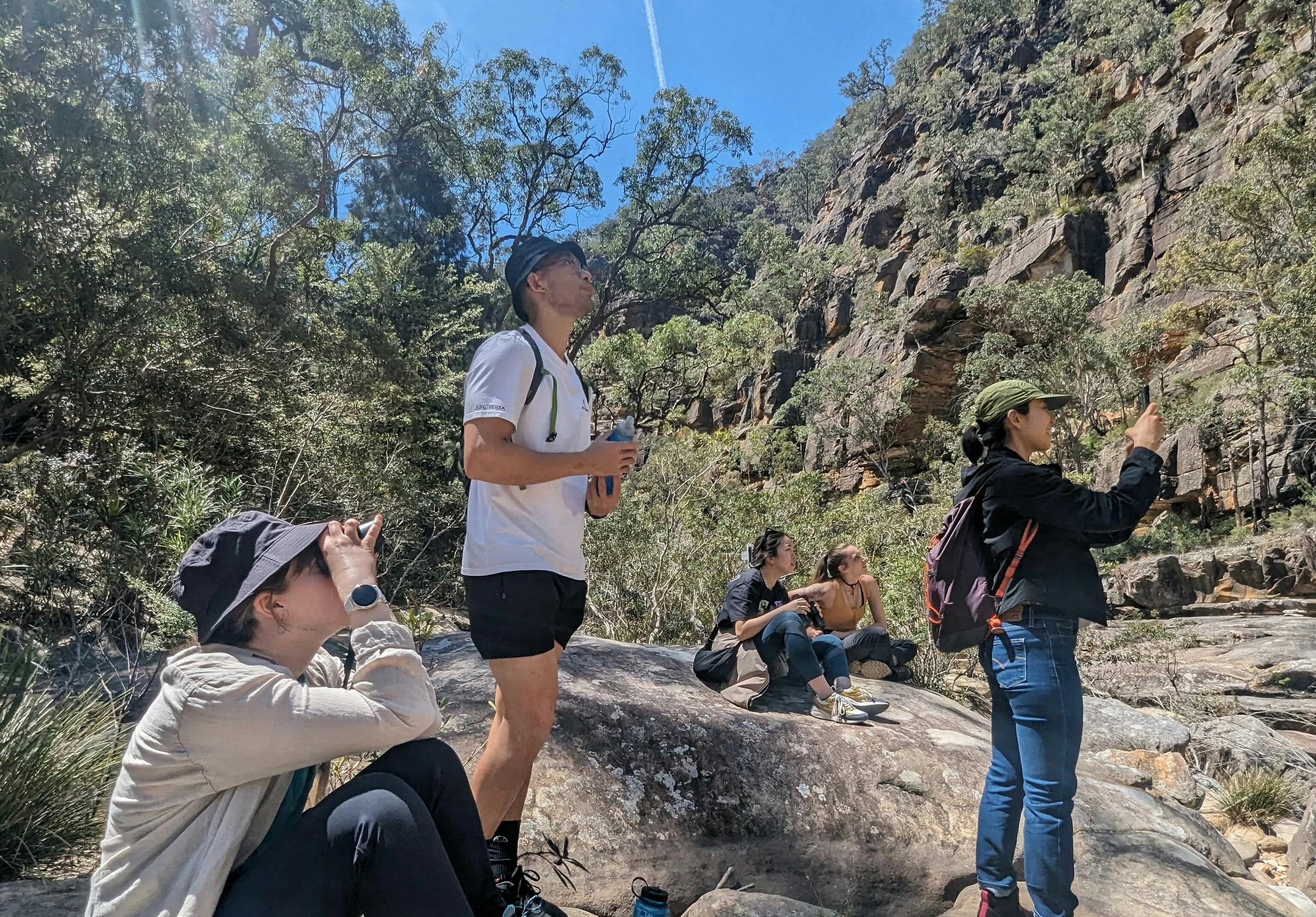 A group uses binoculars in search of wildlife among the cliff faces