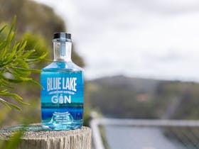 New product Blue Lake Gin