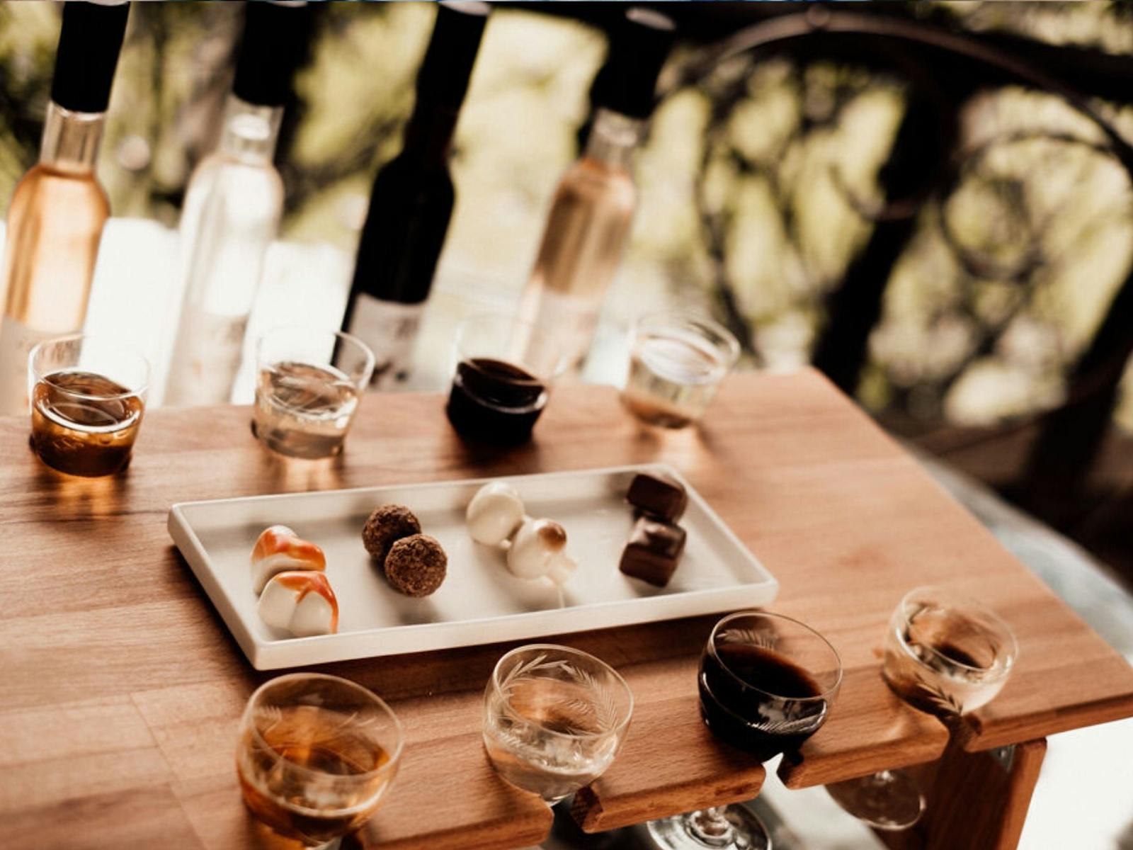 Chocolate and Wine Pairing at Firescreek