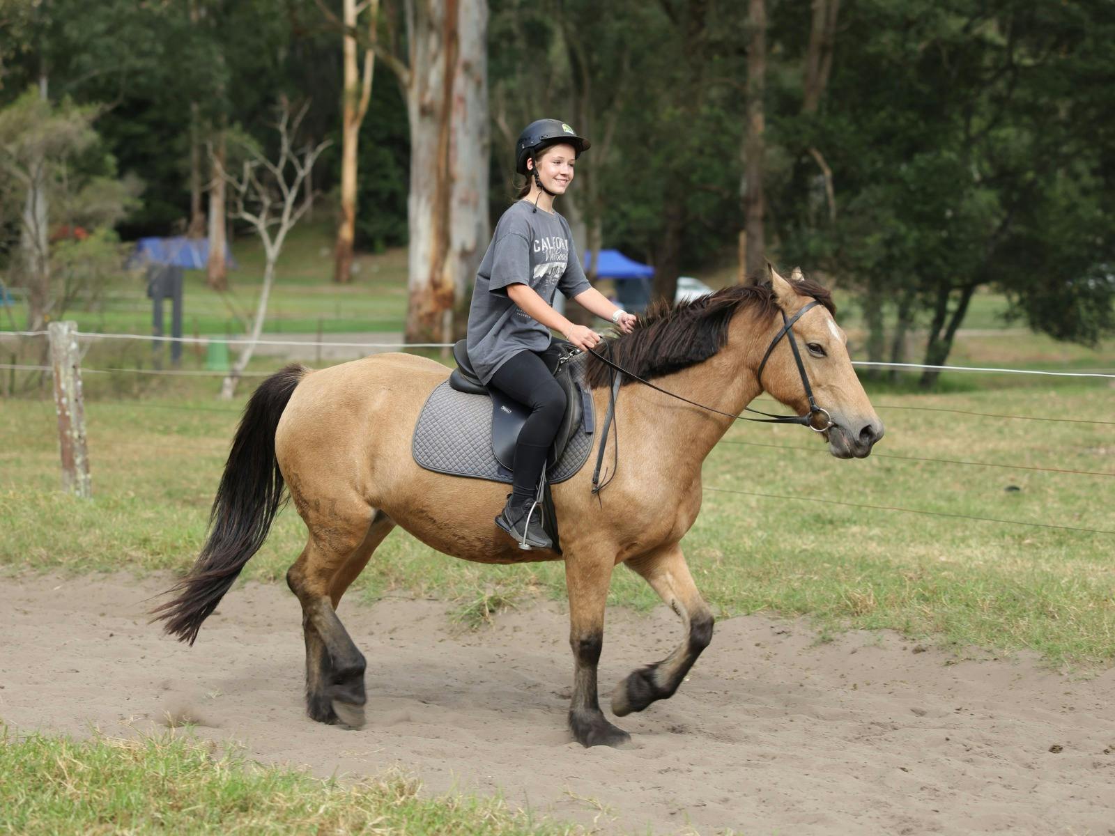 Glenworth Valley Wilderness Adventures Horse Riding