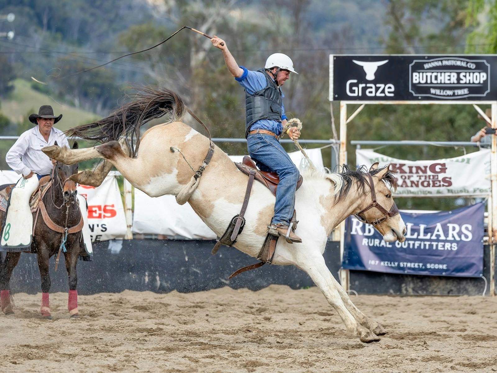 cowboy in the poley buckjump on bucking horse
