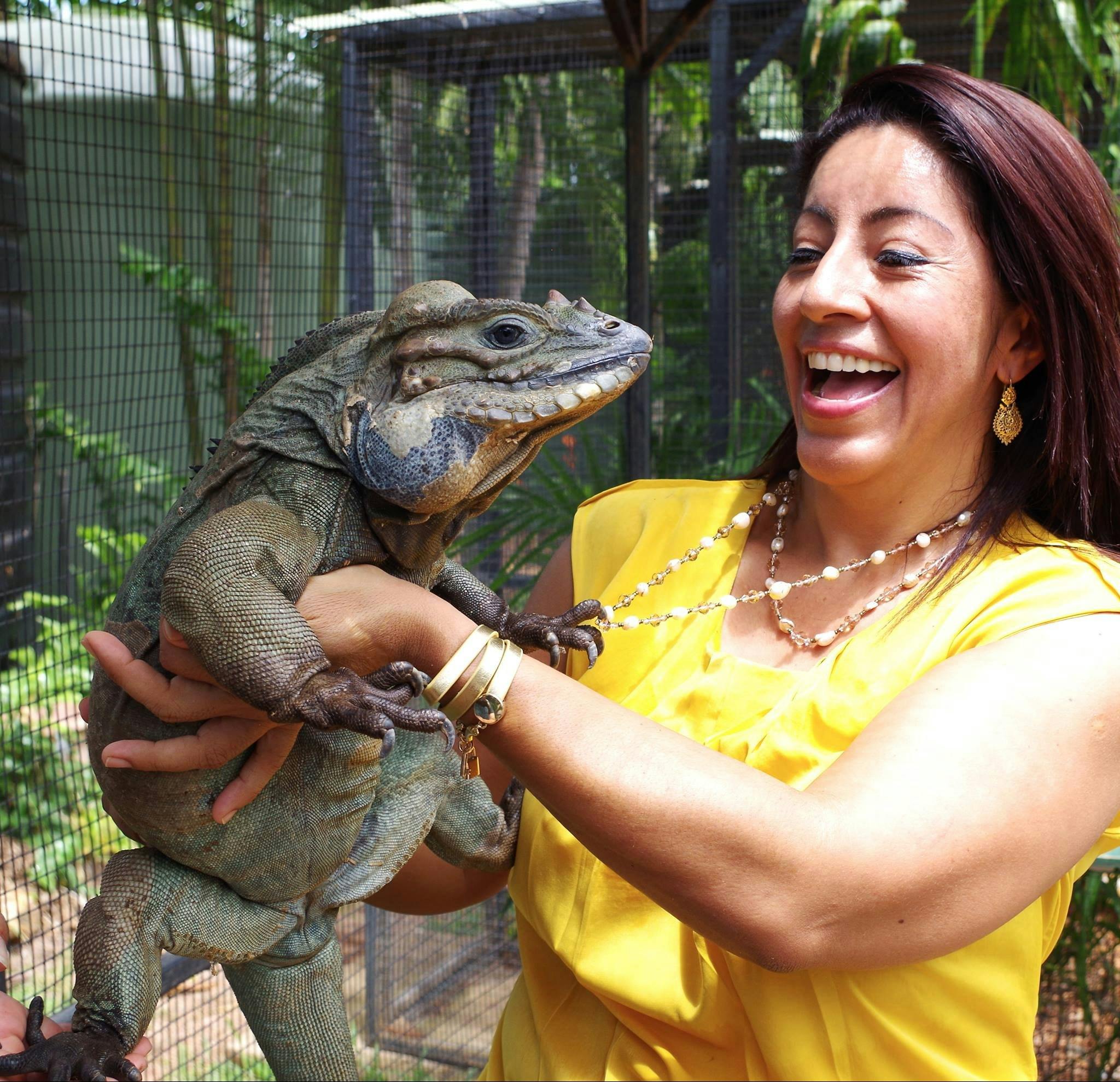 Reptile handling | Crocodylus Park