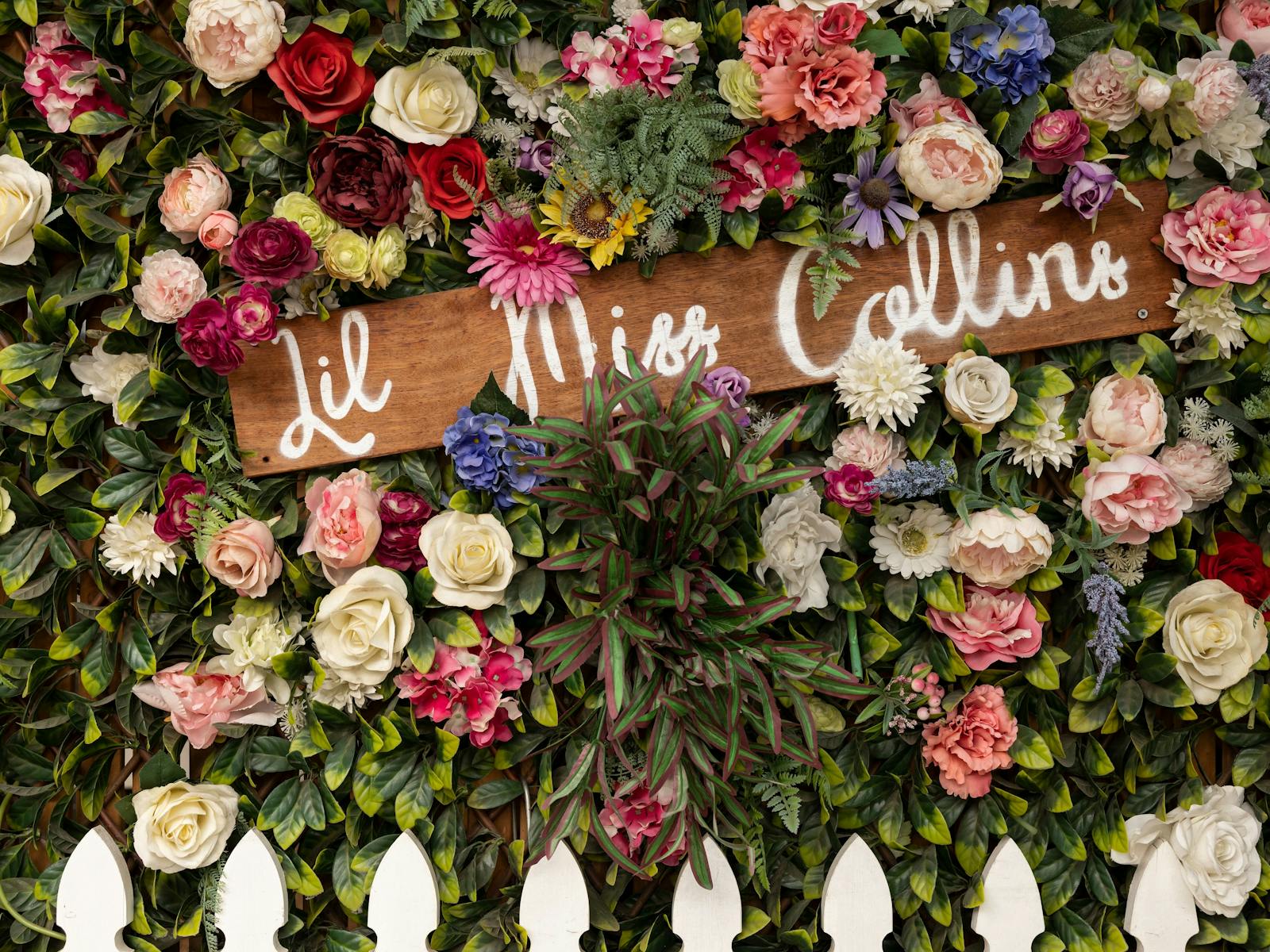 帕拉馬塔 Lil Miss Collins 咖啡館的花牆