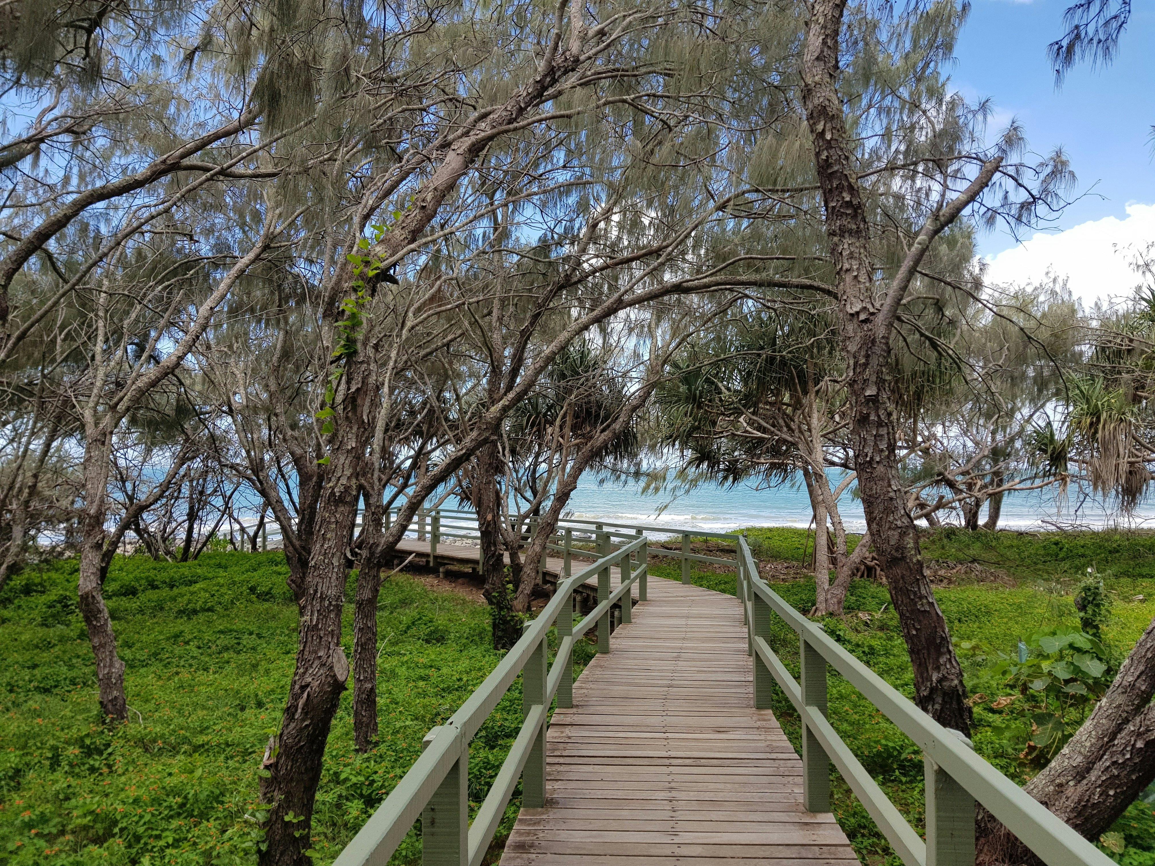 A boardwalk fringed by coastal vegetation leads out onto a beach.