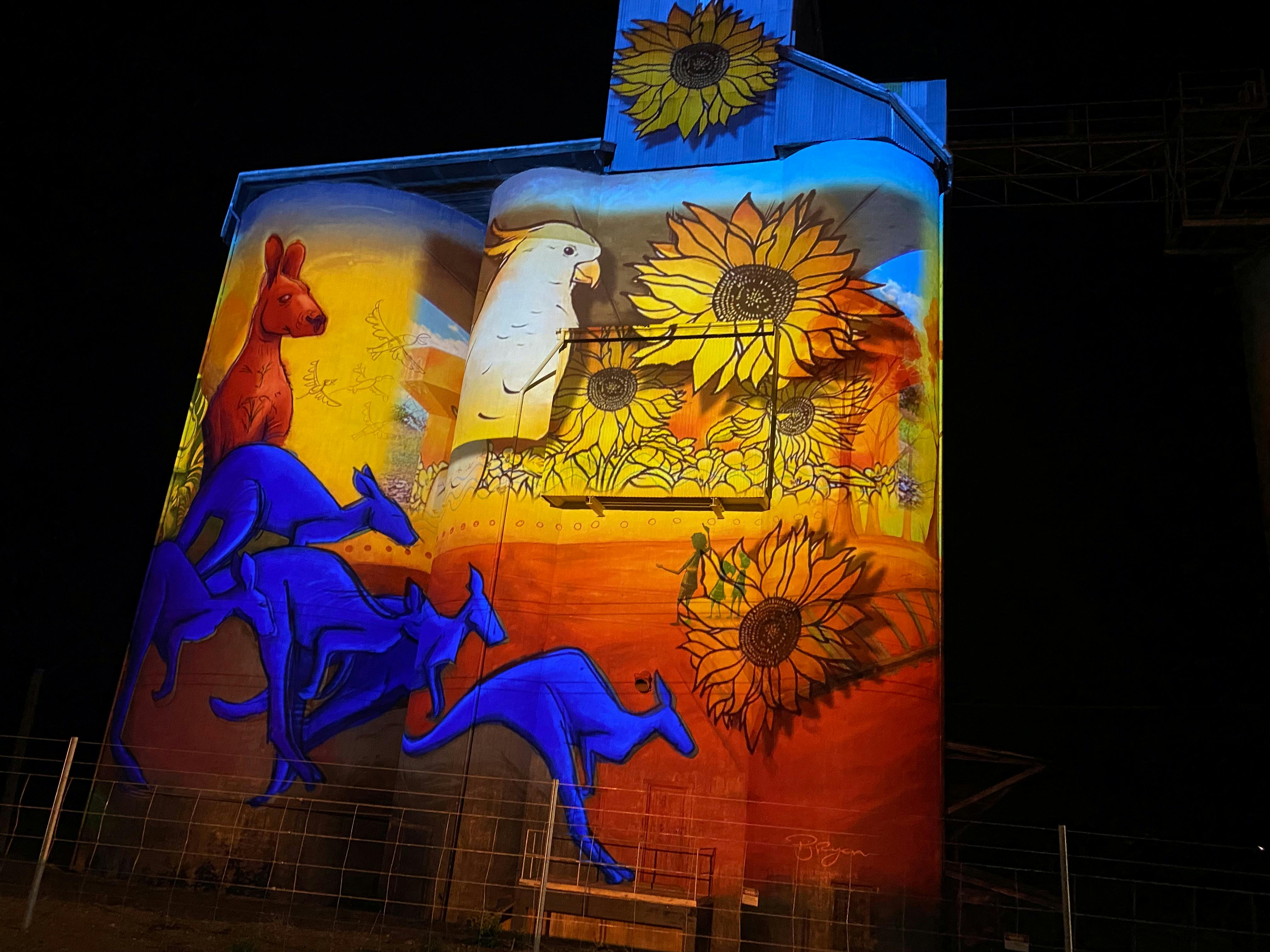 Quirindi Silo Art, Light and Sound Show