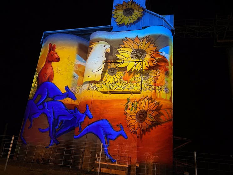 sunflowers and a cockatoo projected on silo