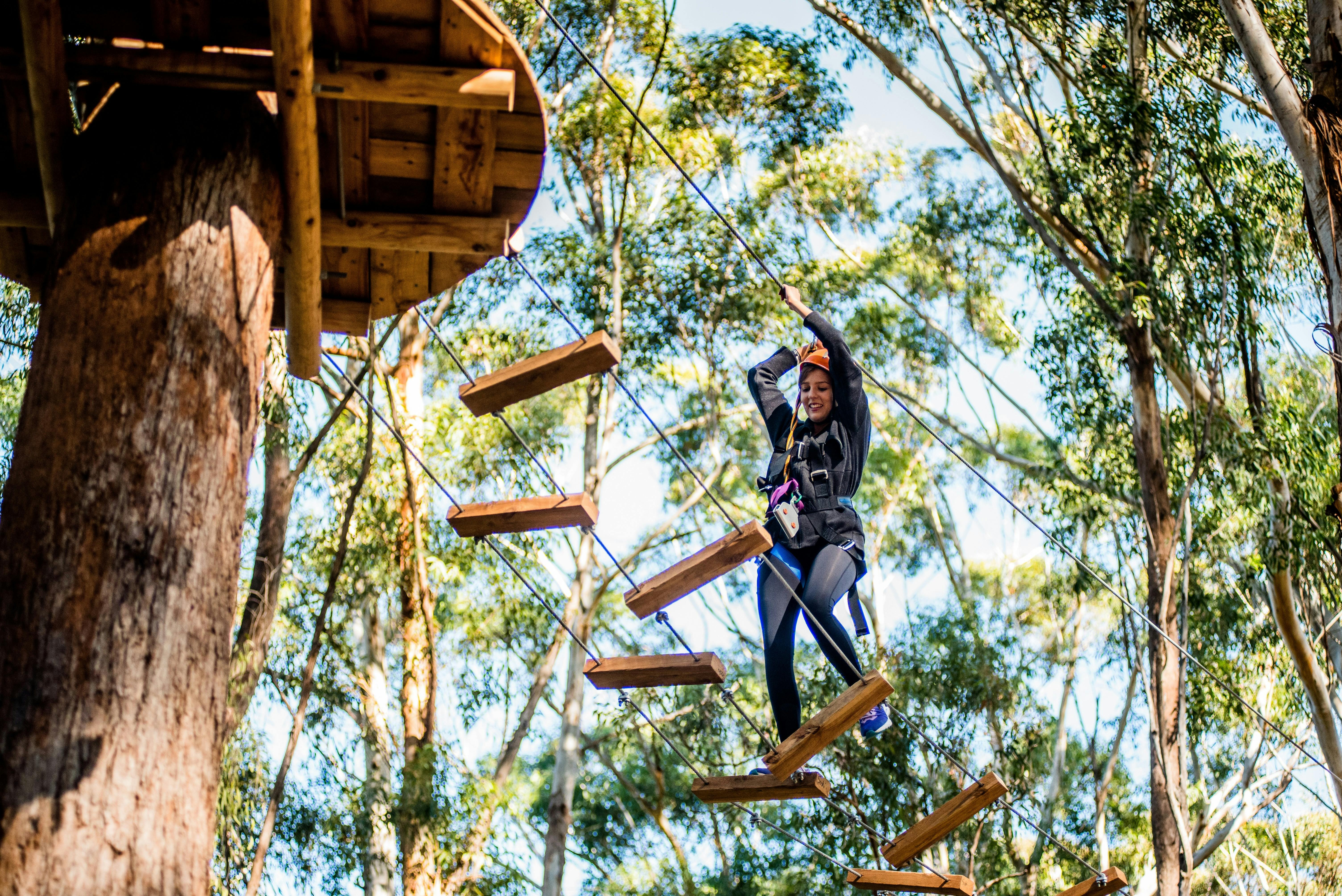 Tree Ropes Courses - Coffs Harbour