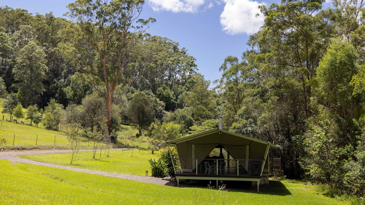 Safari Tent Hinterland