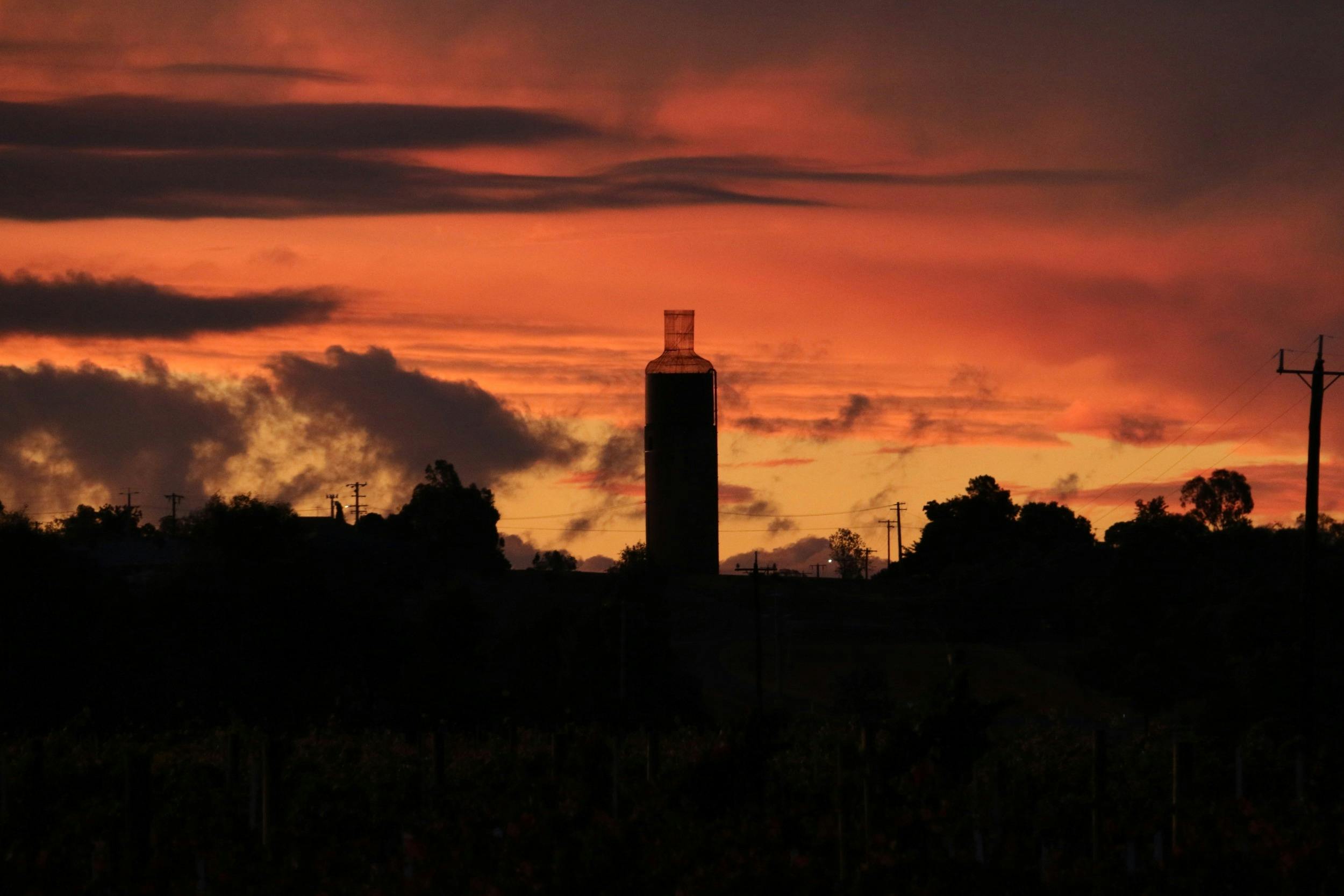 Jones Winery Rutherglen Wine Bottle Sunset