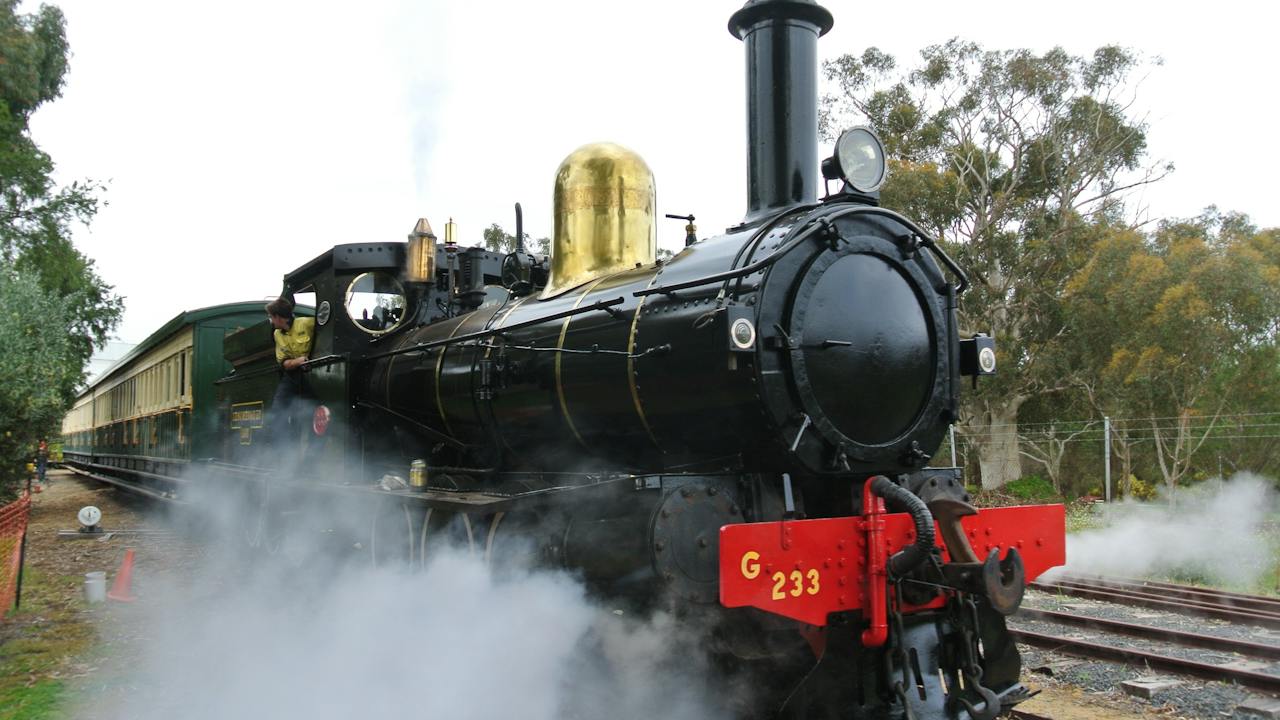 Leschenault Lady