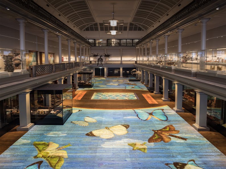 Image of the event 'Treasures Illuminated'