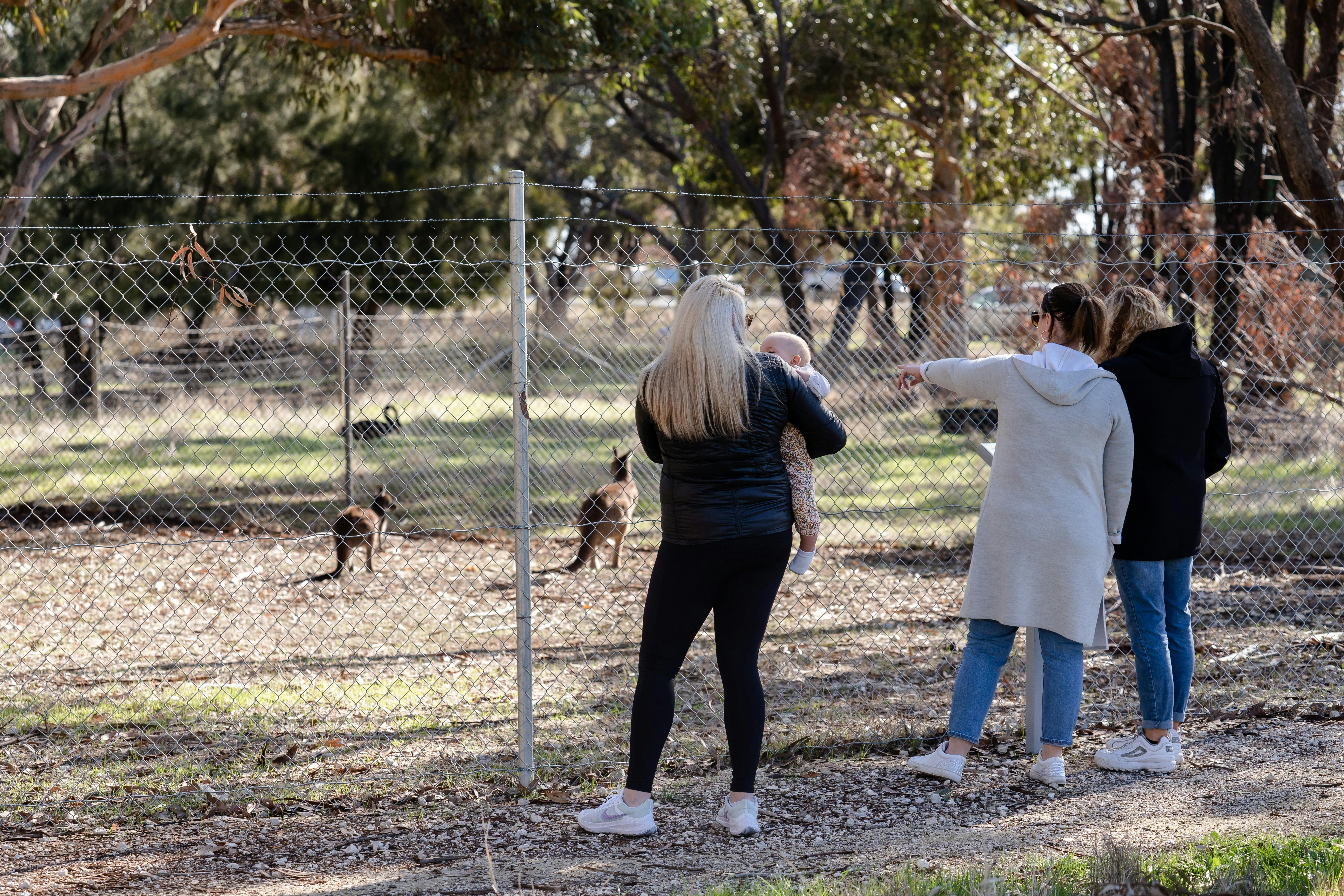 Kaniva Wetlands & Fauna Park