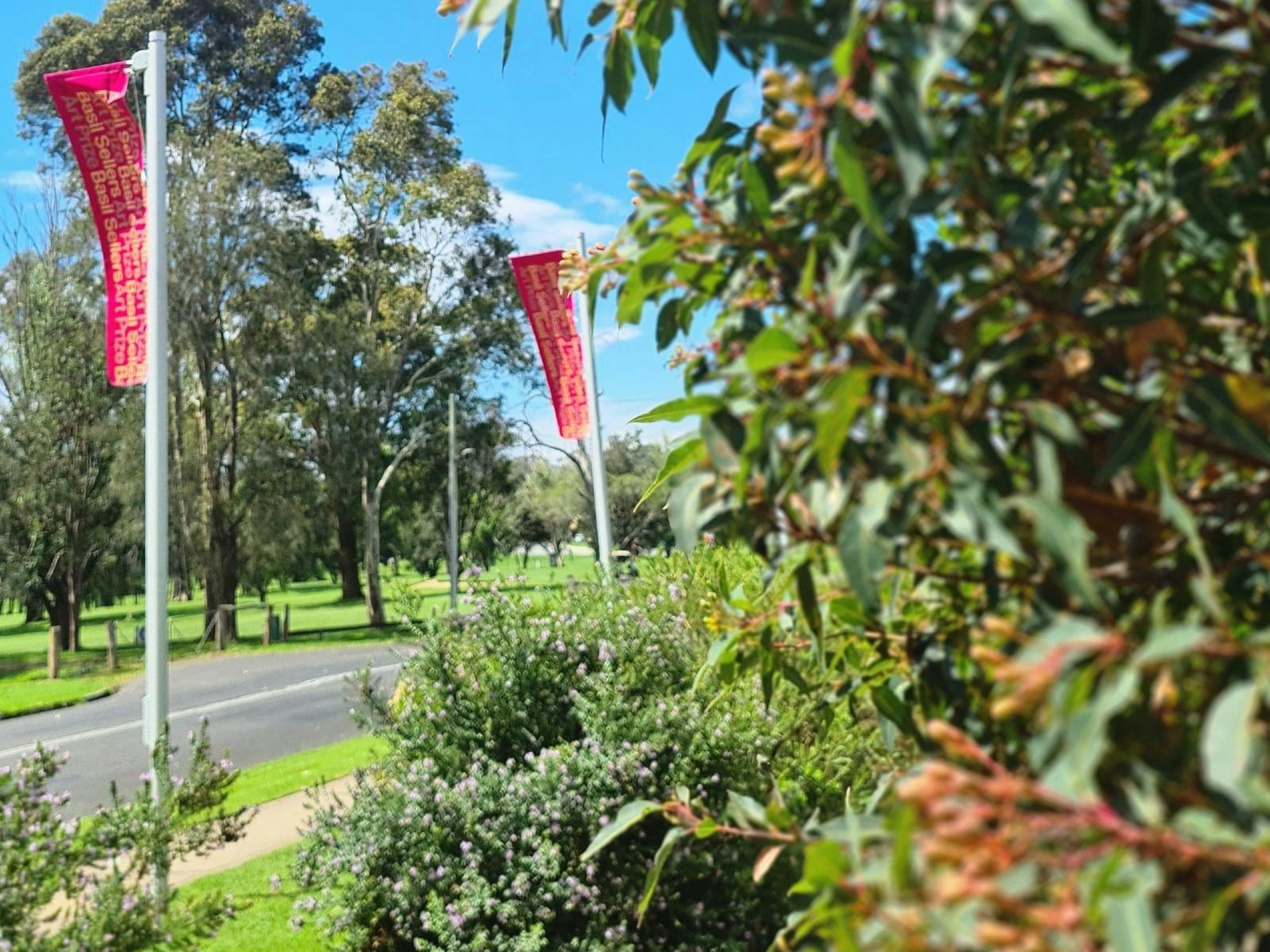 The pink flags seen through the vegetation of the native garden.