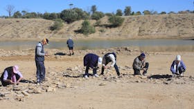 Richmond Fossil Hunting Sites