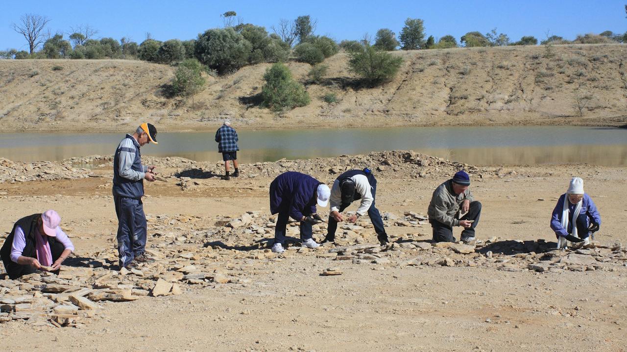 Fossil Hunters at Site 1