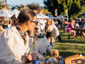 Bark Park - Central Coasts Dogs Day Out Cover Image