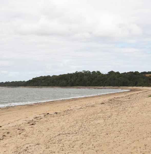 Merlock Beach Beaches + Coastline — Visit Mornington Peninsula.