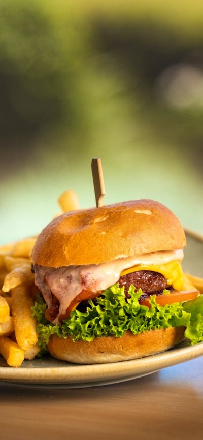Burger and chips