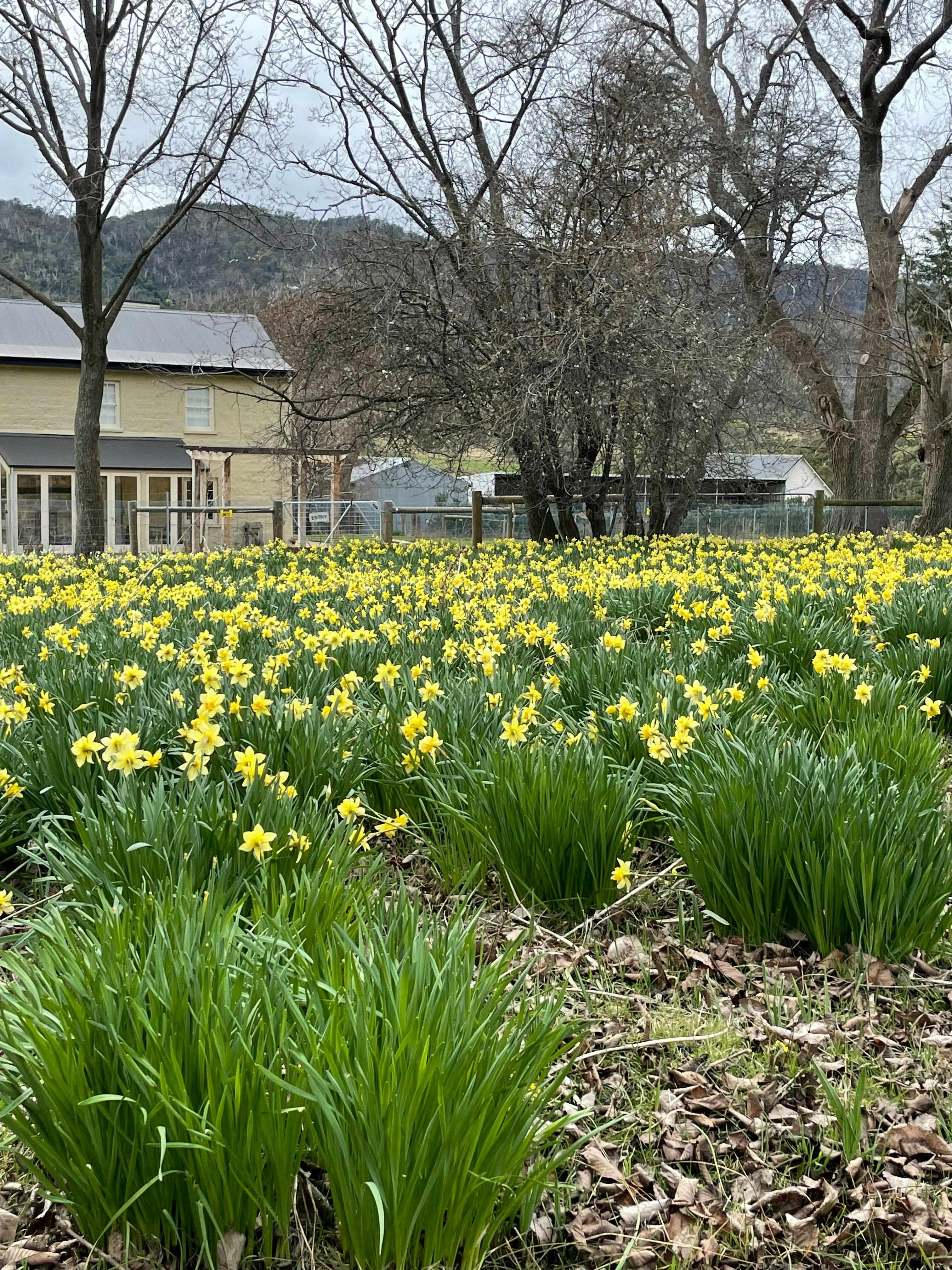 Glover Country House Tour and Self-Guided Walk