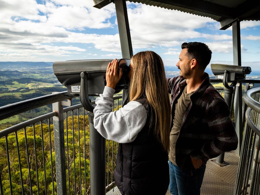 Treetop Walk at Illawarra Fly Treetop Adventures