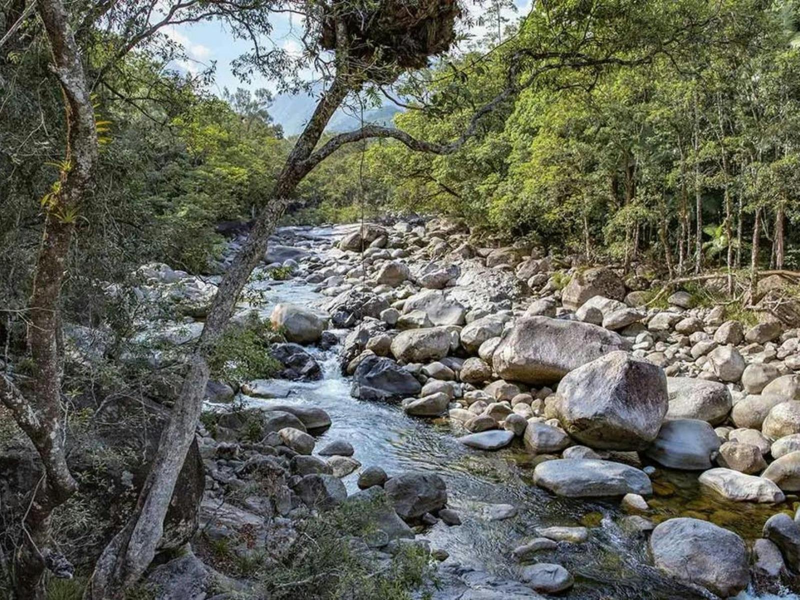 mossman-gorge
