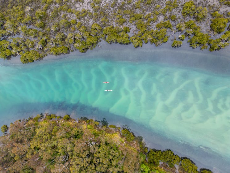 Drone shot of green river, white sand, mangroves and forest