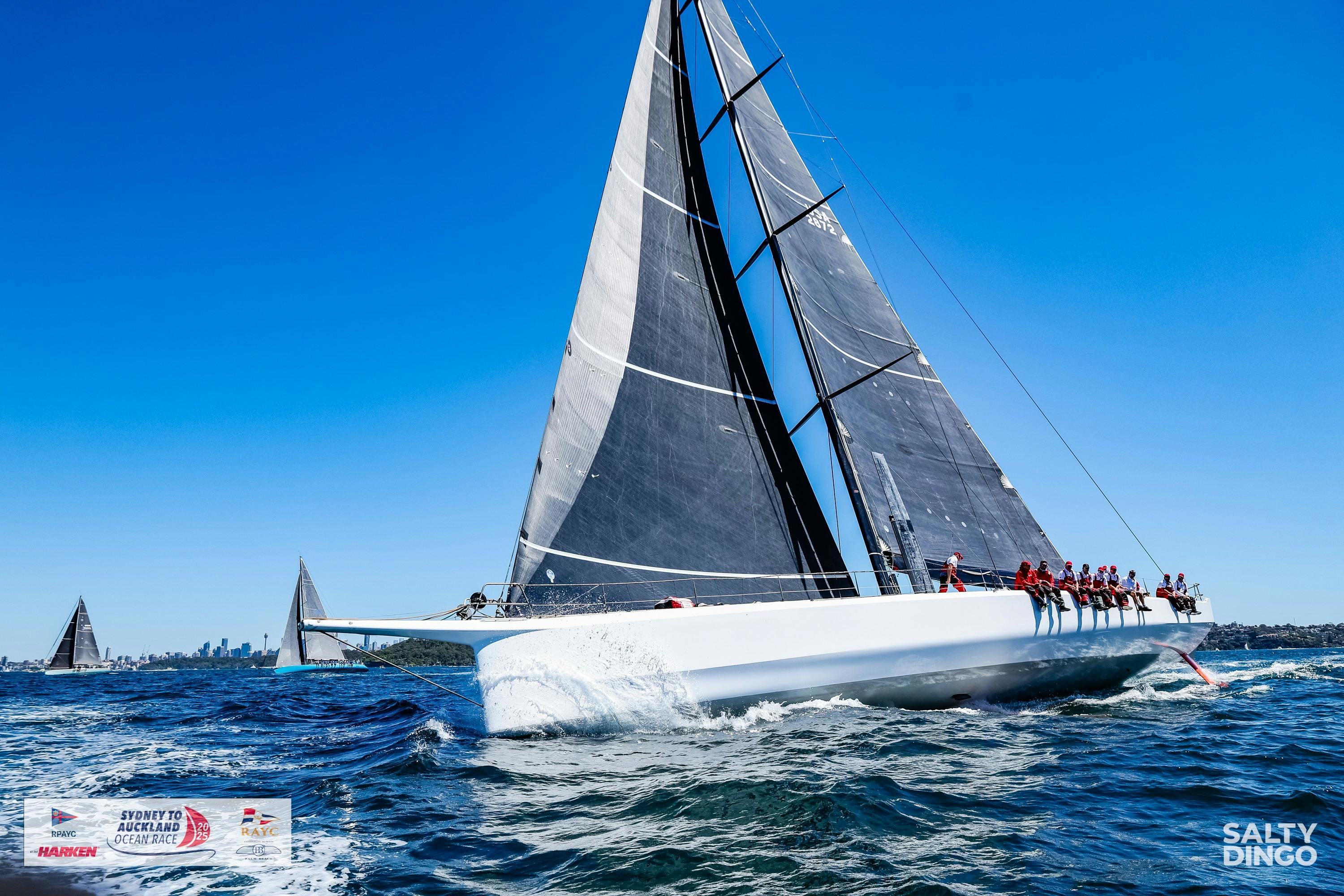 Start of the 2025 Race - Lucky leads the fleet