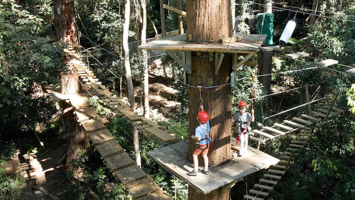 Kids on a platform in the trees suspended above ground at huge heights