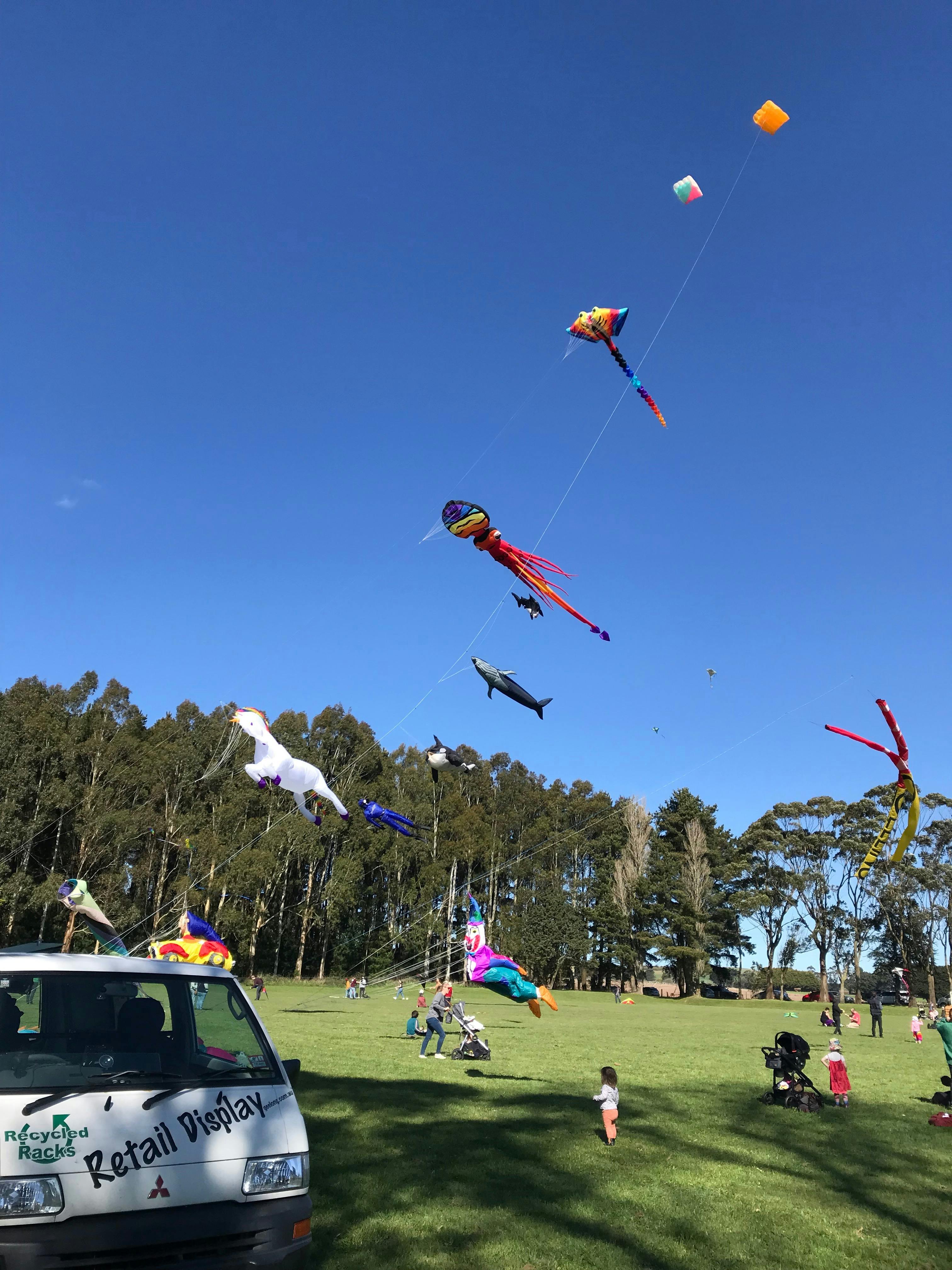 Spectacular professional kites