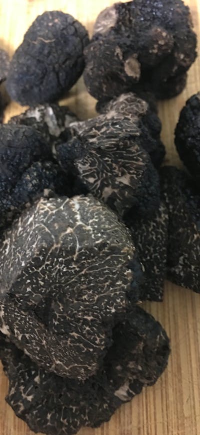 Truffle from next door The Truffle Farm