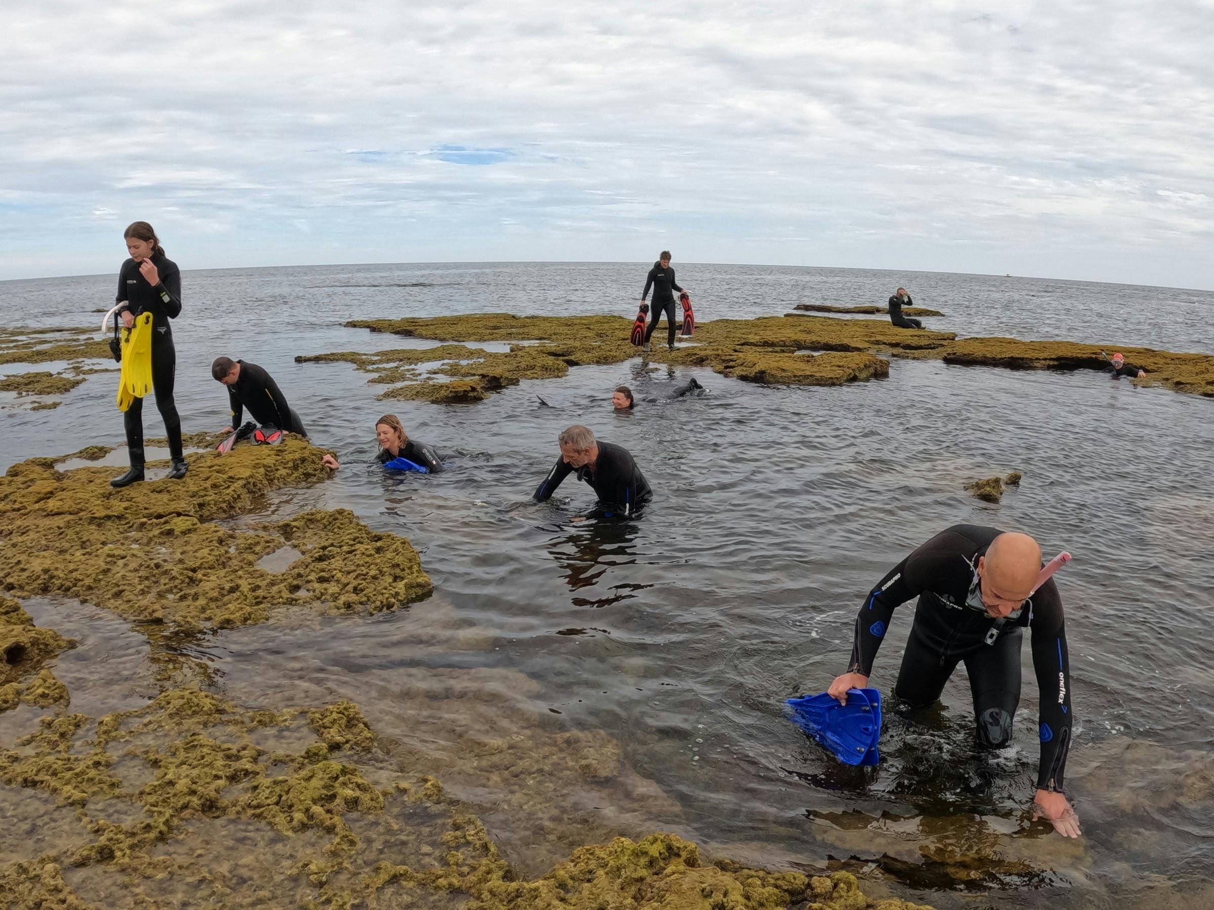 snorkerlers exiting from water onto reef