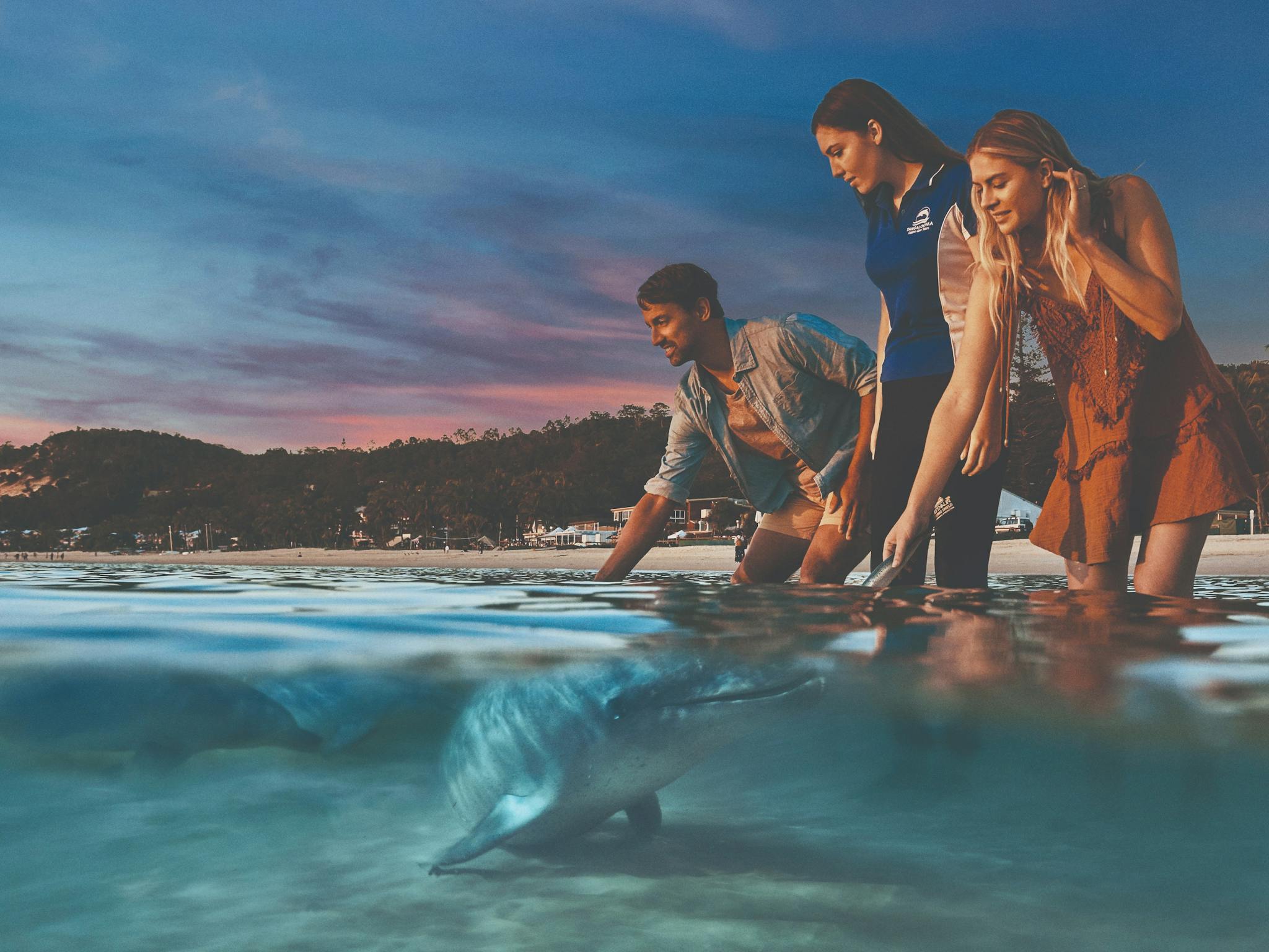 Tangalooma Dolphin Feeding Attraction Queensland