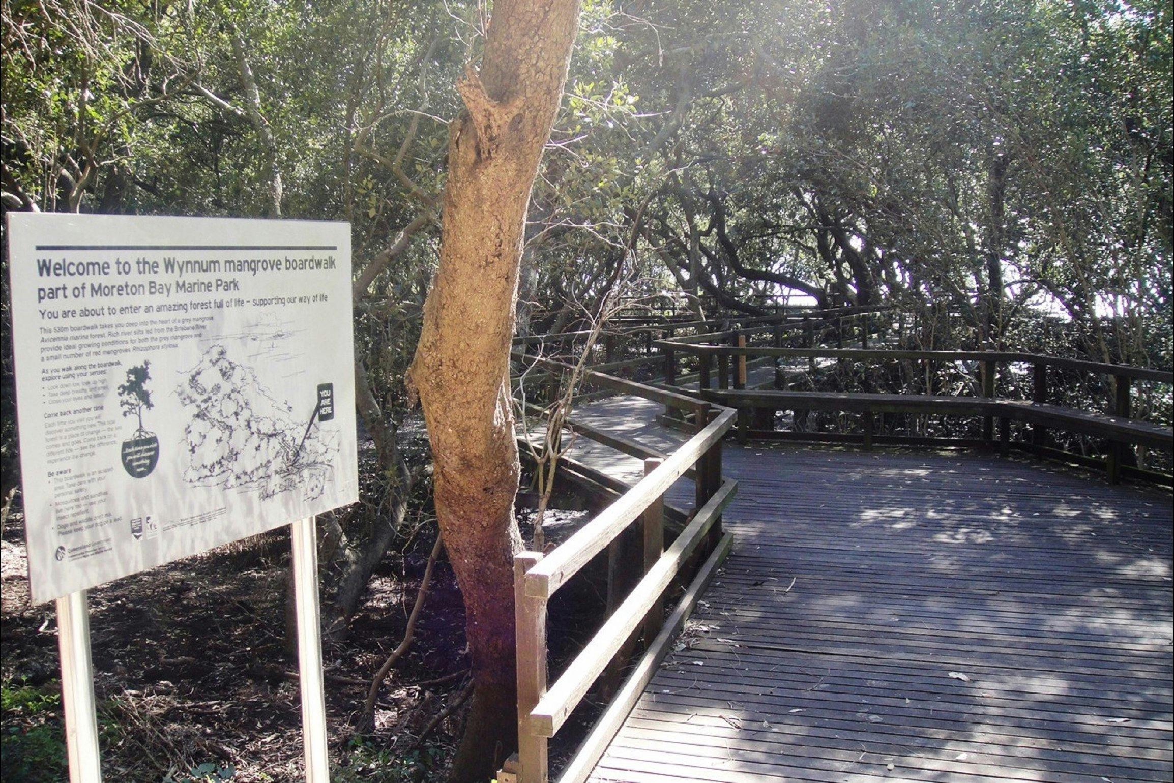 Mangrove Circuit