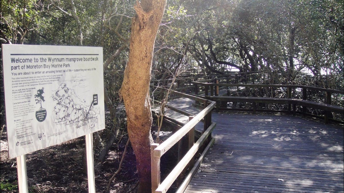 Mangrove Circuit