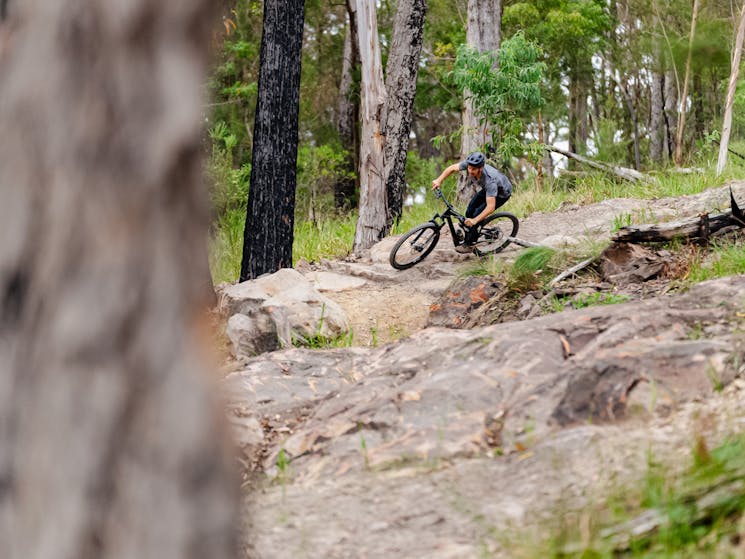 Gravity Eden Mountain Bike Park, Sapphire Coast NSW, mountain biking, MTB, cycling,  South Coast