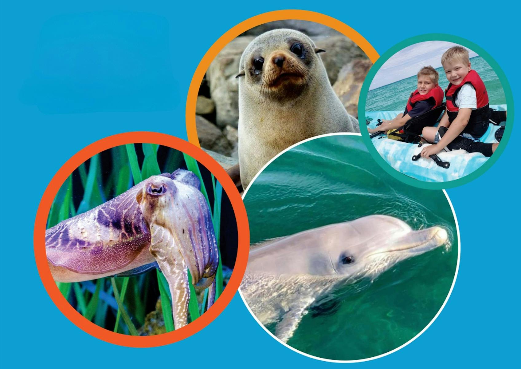 Spencer Gulf Adventures